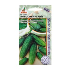 Seeds of the Novosibirsk cucumber 10pcs* selection of agros