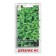Salad Salad "Dubachek", 1 g