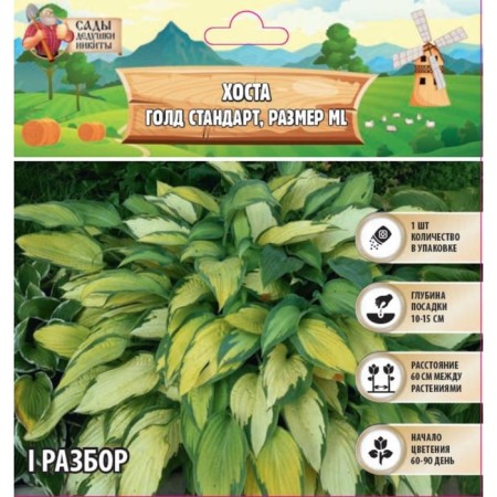 Host "Gold Standard", rr I, size ml, 1 pc, spring 2024