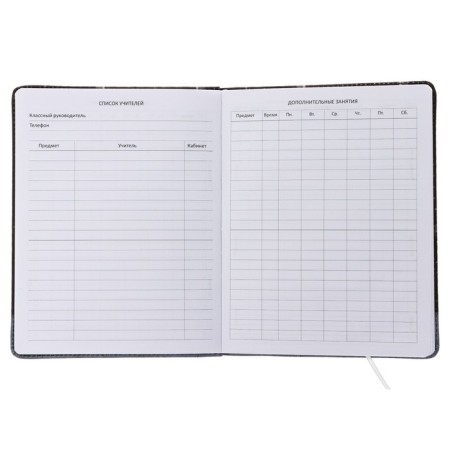 Universal Diary of OOPS 1-11 grade!, Hard cover with foam rubber, artificial leather, lies, block 80 g/m2-3