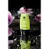Schunga Hold ME TIOIT narrowing gel makeup “Hold me tight”, 30 ml