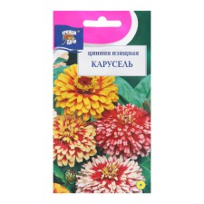 Seeds of Tsinniy Flowers Graceful 
