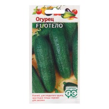 Cucumber seeds 