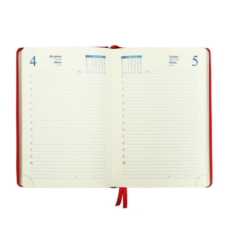 Dated diary 2024, A5, 168 sheets in the ruler, the leatherette "Nebraska", gold cut, red-6