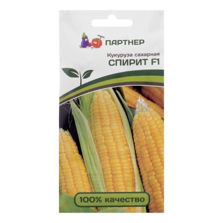 Sugar corn seeds "Spirit", 3 g