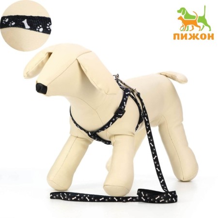 Set "Classic", leash 120 x 1 cm, fire 28-47 cm, black