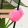 Clips for plants "Snail", set 10 pcs., Mix, Greengo