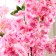 Artificial tree "Sakura lux" 120 cm, mix