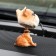 Dog on a car panel shocking his head, a mongrel