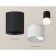 Ambrella Light overhead lamp, XS7422025, MR16 GU5.3 LED 10 watts, black sand, white matte
