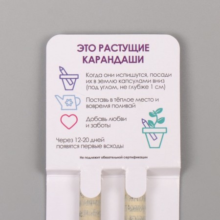 Growing gift pencils mini "Mint + lavender" set 2 pcs.-2