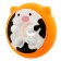 Catfall with paste