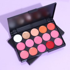 Palette of lip gloss from 15 shades