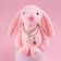 Soft toy "The most beautiful", bunny