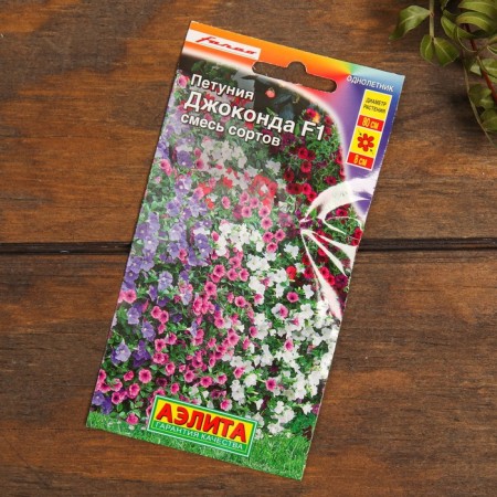 A set of flowers "annuals for the lazy", low-5