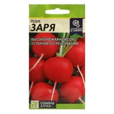Seeds Radi 