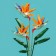 Designer "Flowers. Flower composition ", 269 parts