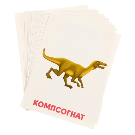 Training cards "Dinosaurs"-3