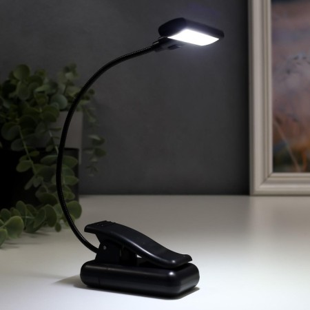 Lamp for reading on clothespin16430/1 LED from batteries 3AA Black 7x4.5x31 cm Risalux-1