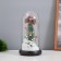 Summer Santa Clab and gingerbread luminaire 1.5W, LED, 3XAAA, Black USB 11x11x21cm