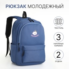 Рюкзак школьный из текстиля на молнии, 2 отдела, 3 кармана, цвет синий