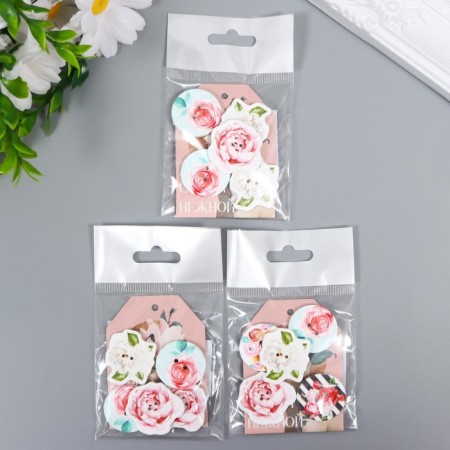 Scrapbooking set "for the most tender" nameplate 5x7 cm + buttons 5 pcs mix-8