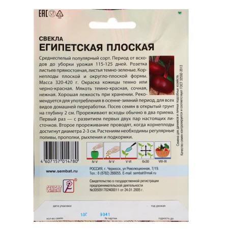 XXXL seeds "Egyptian flat", 10 g-1