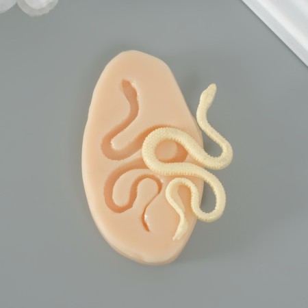 Mold Silicon "Snake crawls" 0.3x5.6x3.1 cm