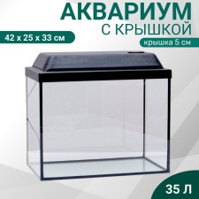 Aquarium 