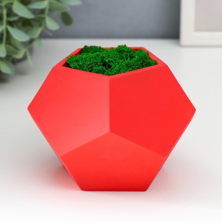 Kashpo concrete "hexagon" height 6.5 cm red with moss (moss green stabilized)-1