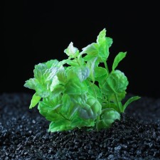 The artificial aquarium bush, 10 cm, green