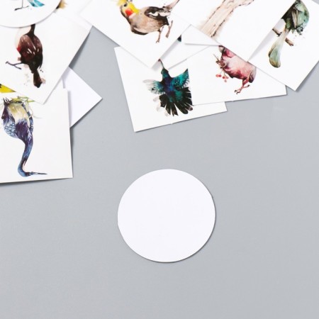 A set of stickers "Rare birds" 40 pcs in a box 3.8x3.8 cm-2