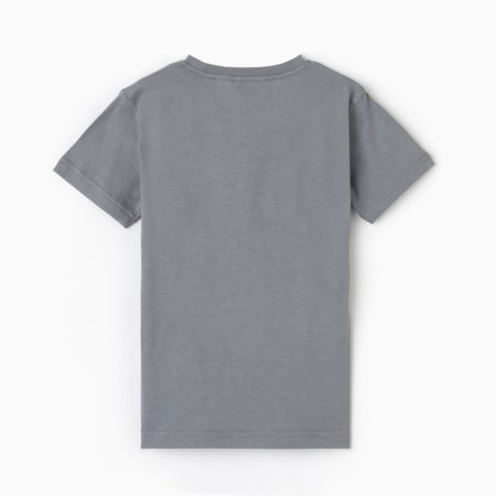 T -shirt for a boy , color gray/lion, height 140-3