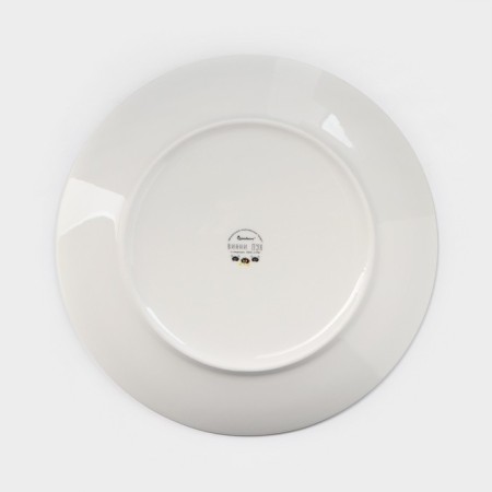 Porcelain dessert plate "Winnie the Pooh", D = 20 cm, porcelain-3