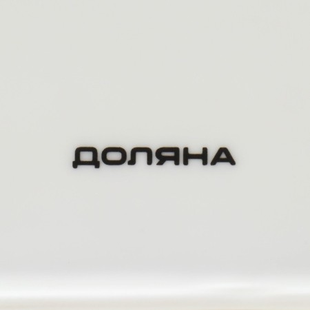 Porcelain plate for proper power supply, D = 23 cm-5