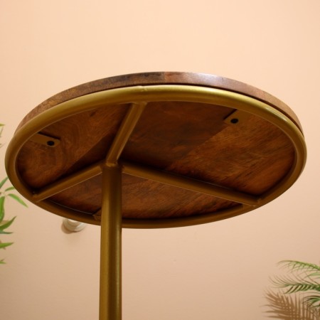 Coffee table 40x40x53 cm, mane-3