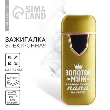 Electronic lighter 