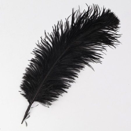Feather for decor, size: 30-35 cm, black color-3
