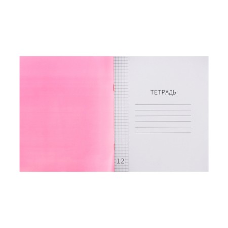 Notebook 12 sheets in the Calligrata "red" cage, plastic cover, with a multiplication table, an offset unit-2
