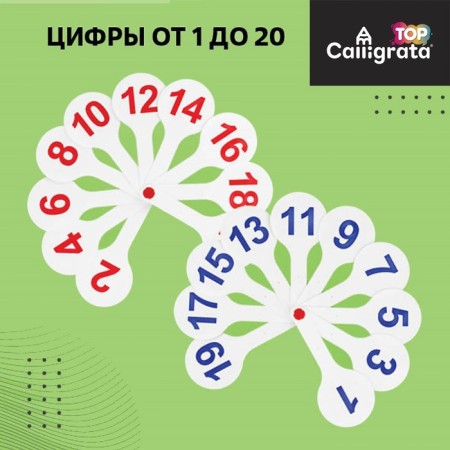 Набор веер-касс, гласные, согласные, цифры от 1 до 20, Calligrata TOP, плотные, 3 штуки, пакет с европодвесом-1