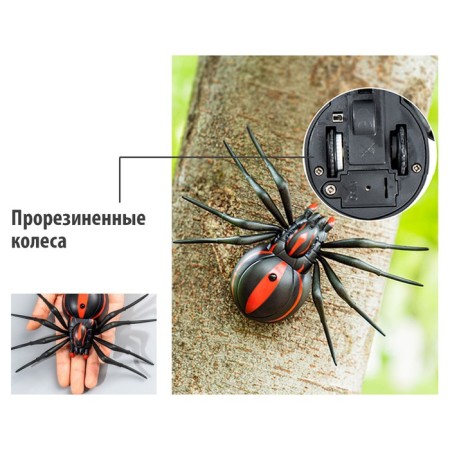 Spider Radio -controlled "Black Widow", works from batteries-6