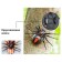 Spider Radio -controlled "Black Widow", works from batteries