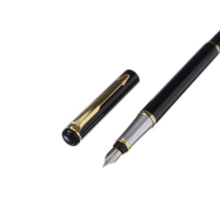 Gift feathers in the leatherette case, the body is black, gold, silver-3