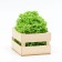 Filling paper, green linden, 1000 g