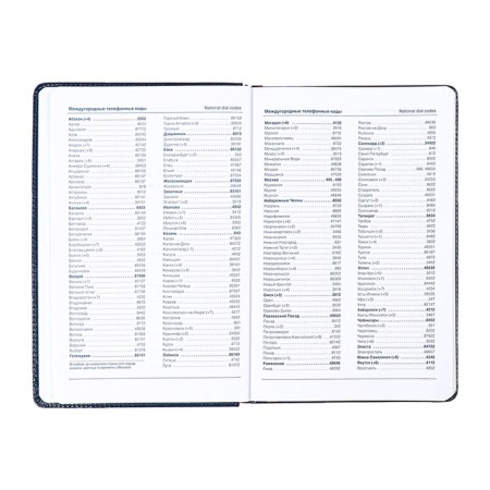 Deliciper is low, PVC cover, A5 format, 140 l, cell, metallic blue-7