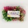 Set of dried flowers "gypsophiles"