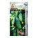Odette's cucumber seeds F1 8pcs* Wing Seeed