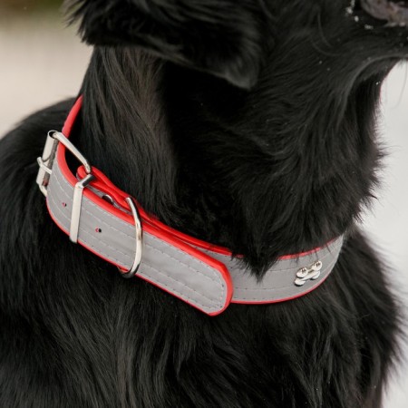 The collar is wide with bones, reflective, 66 x 3.5 cm, Osh 48-58 cm, red-7