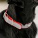 The collar is wide with bones, reflective, 66 x 3.5 cm, Osh 48-58 cm, red