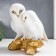 Polystone souvenir "White owls on the Golden Crap" 19x12x16 cm